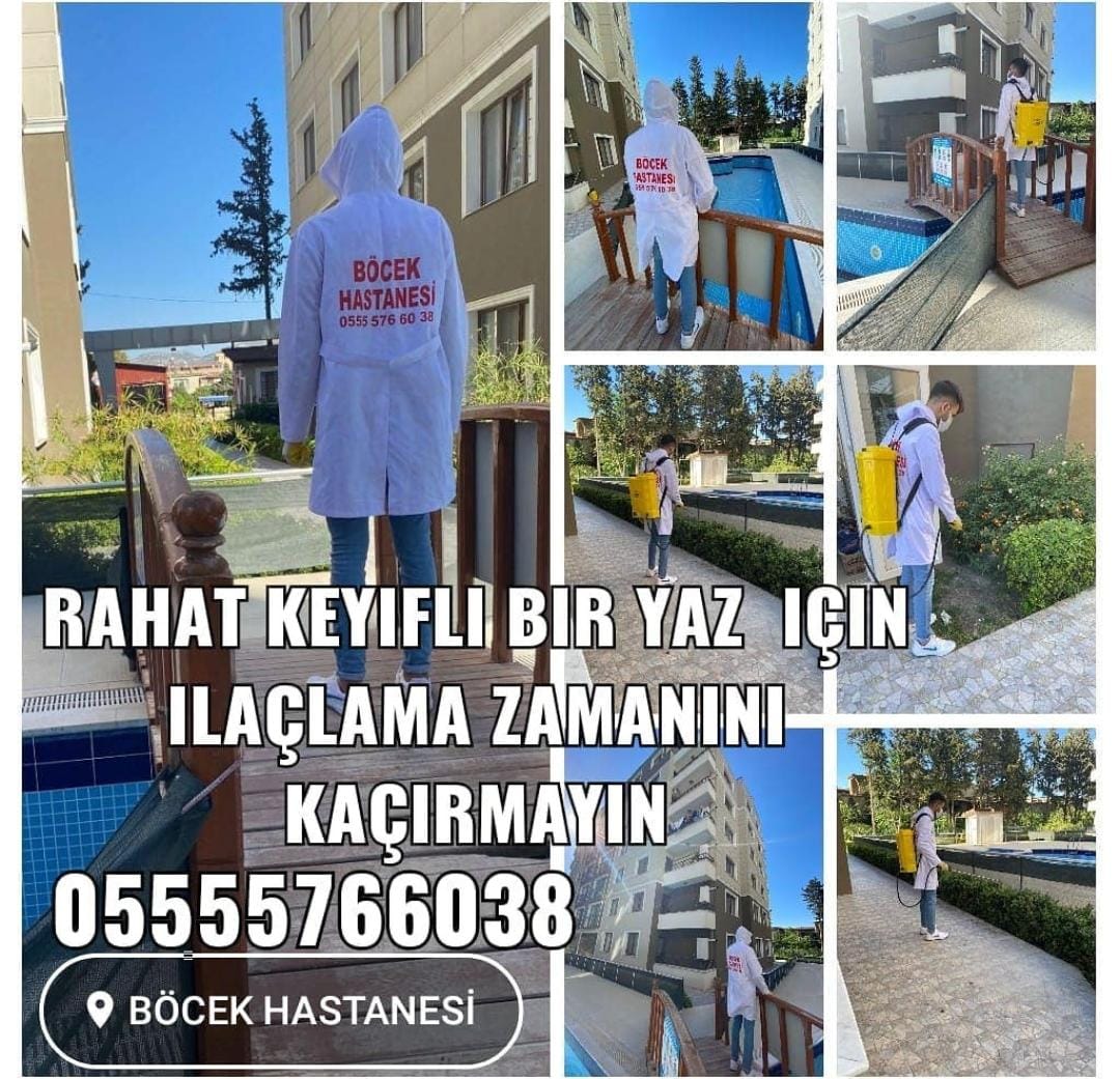 Manisa Böcek İlaçlama